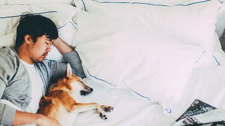 Person asleep thinking about the connection between sleep and productivity